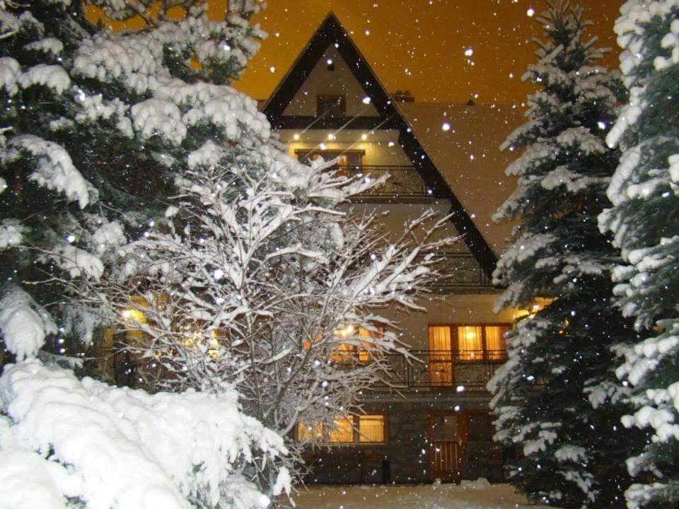 D.W Teresa Villa Zakopane Exterior photo