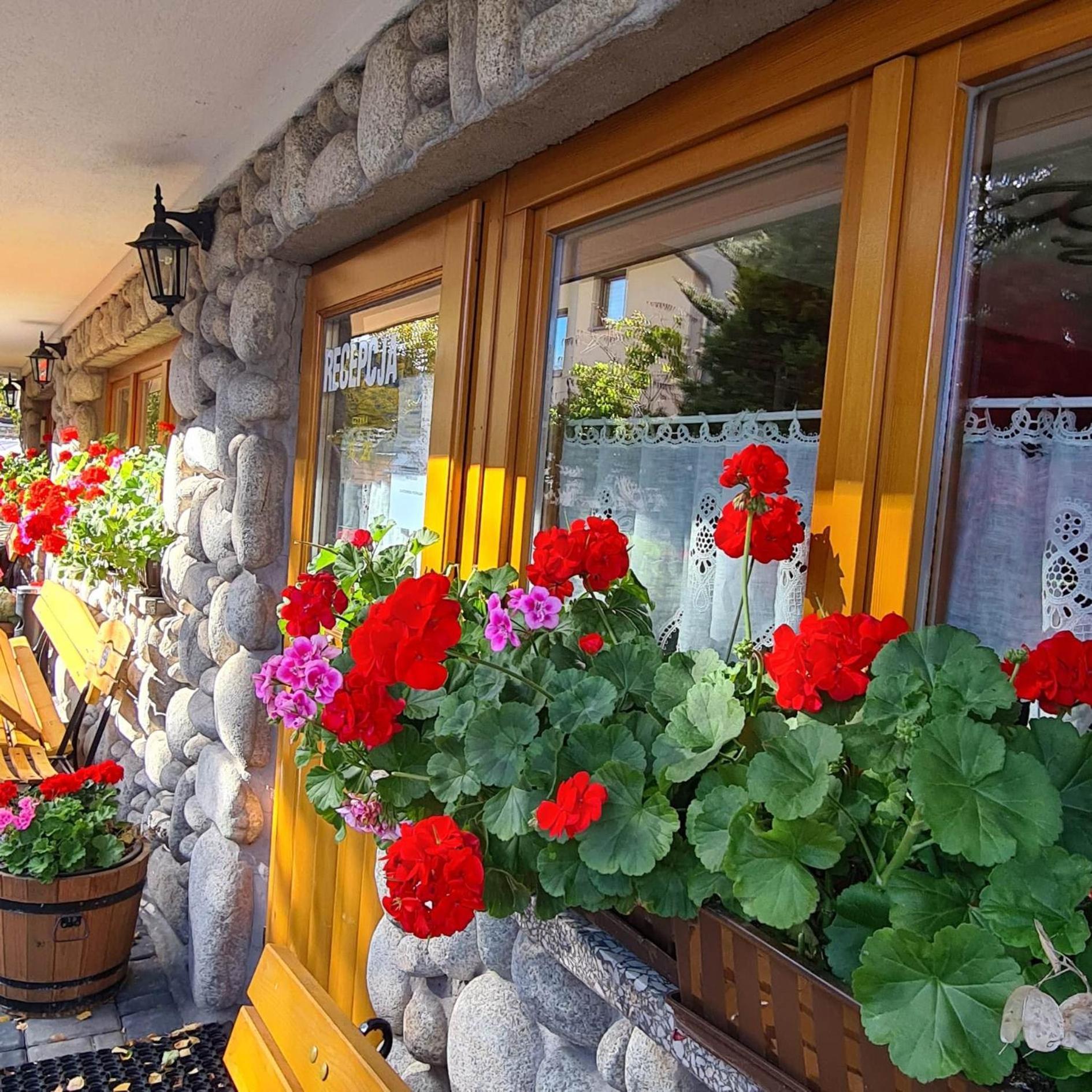 D.W Teresa Villa Zakopane Exterior photo